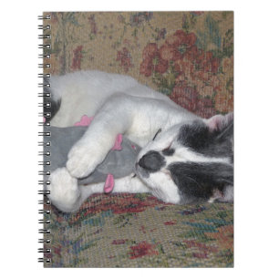 Carnet Chaton couchant
