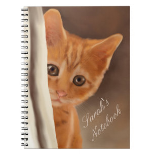 Carnet Chaton pelucheux de gingembre