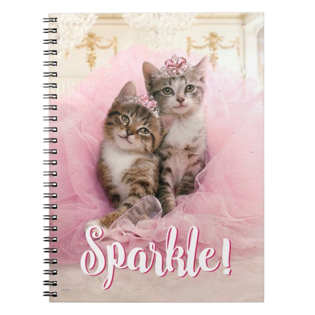 Carnet Chatons doux dans les diadèmes et le tutu (Devant)