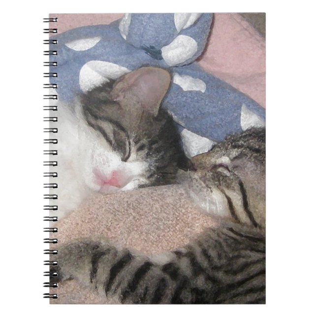 Carnet Chatons doux de sommeil (Devant)