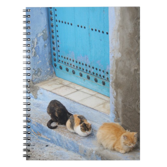 Carnet Chats, Chefchaouen, Maroc (Devant)