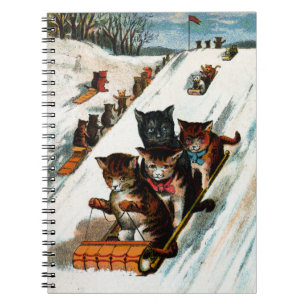 Carnet Chats vintages de toboggan