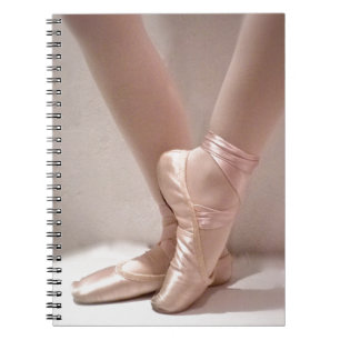 Carnet Chaussures en ballet rose