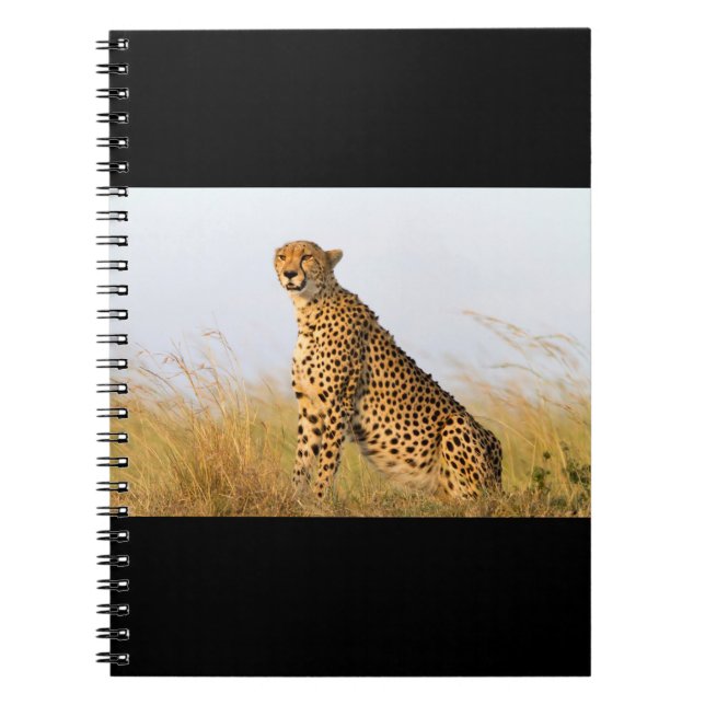 Carnet Cheetah (Devant)