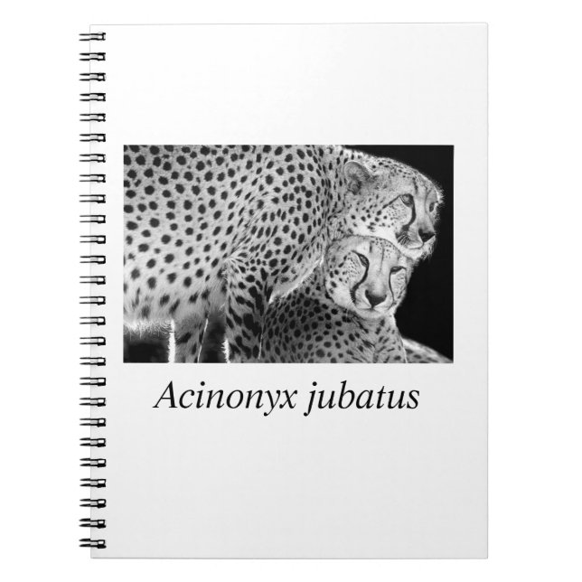 Carnet Cheetah#1 (Devant)