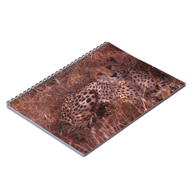 Carnet Cheetah Stare (Côté gauche)