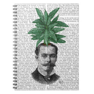 Carnet Chef d'Plante À feuillage persistant chinois
