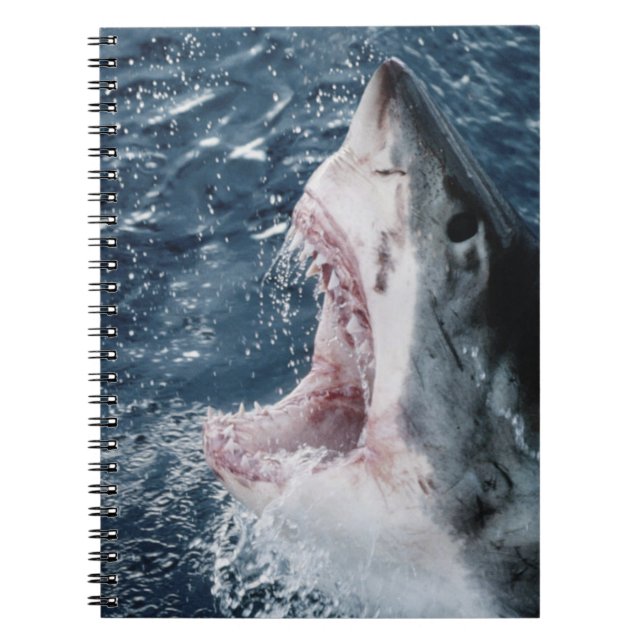 Carnet Chef du grand requin blanc (Devant)