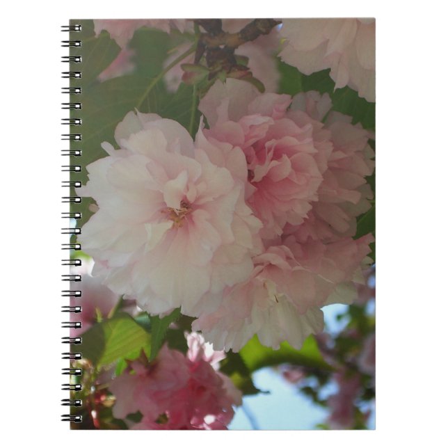 Carnet Cherry Tree I Spring Floral (Devant)