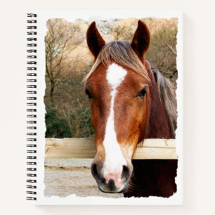 CARNET CHESNUT HORSE