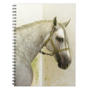 Carnet Cheval andalou grise