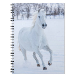 Carnet Cheval blanc courant dans la neige