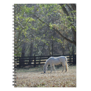 Carnet Cheval blanc dans les arbres