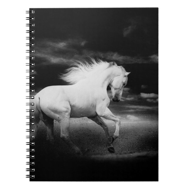 Carnet Cheval blanc en noir et blanc (Devant)