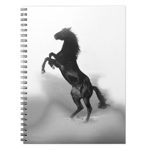 Carnet Cheval blanc noir