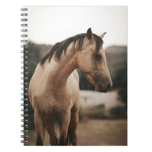 CARNET CHEVAL BROWN