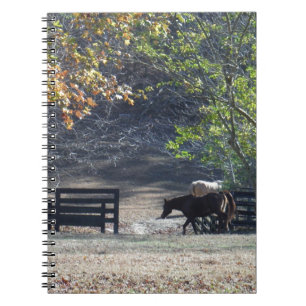 Carnet Cheval Brown à pied à travers la clôture