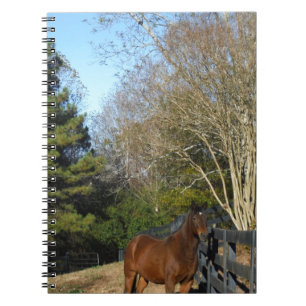 Carnet Cheval Brown contre une clôture