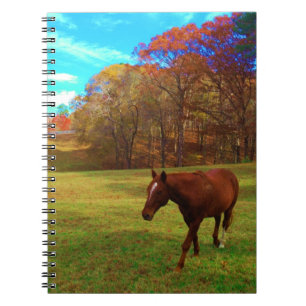 Carnet Cheval Brown dans un champ de couleur arc-en-ciel