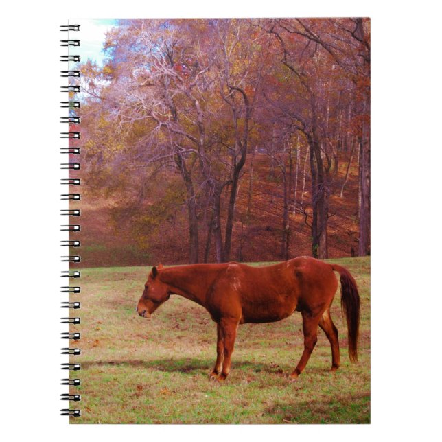 Carnet Cheval Brown dans un champ d'herbe (Devant)