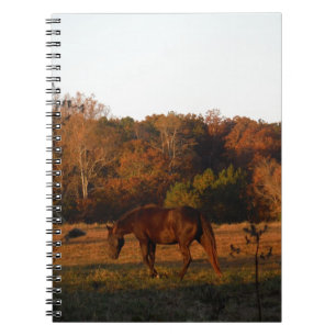 Carnet Cheval Brown rouge, bois d'automne.