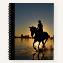 Cheval Coucher De Soleil Ride Journée Nuit Courant