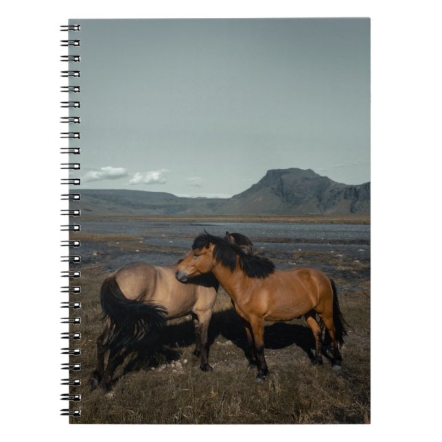 CARNET CHEVAL COUPLE (Devant)