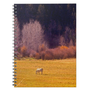 Carnet Cheval dans l'automne I