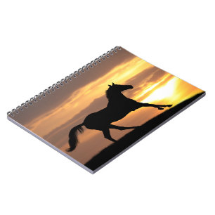 Carnet Cheval dans le coucher du soleil