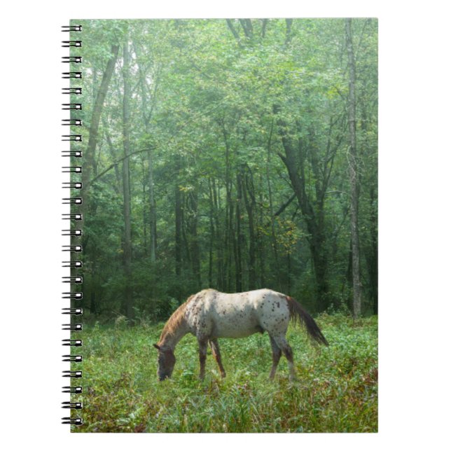 Carnet Cheval dans le pré (Devant)
