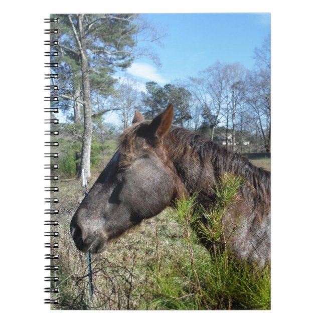 Carnet Cheval de couleur Coco et Crème (Devant)