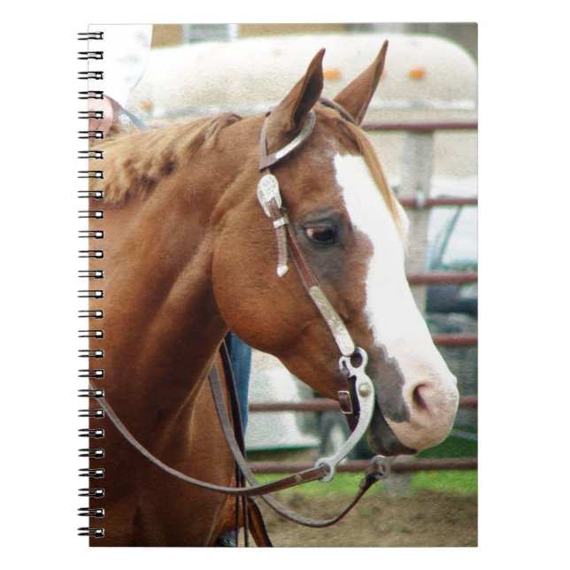Carnet Cheval de l'Ouest (Devant)