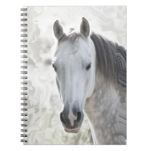 Carnet Cheval de rêve