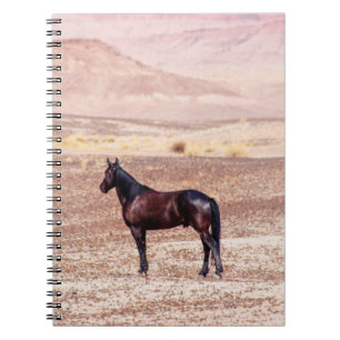 Carnet Cheval du désert P8664