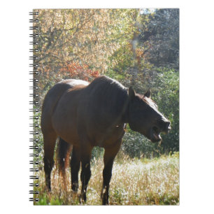 Carnet Cheval en automne