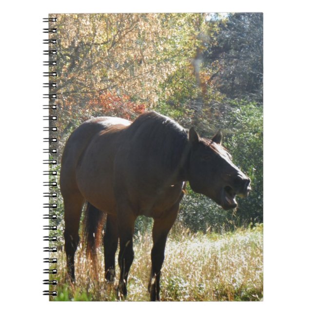 Carnet Cheval en automne (Devant)