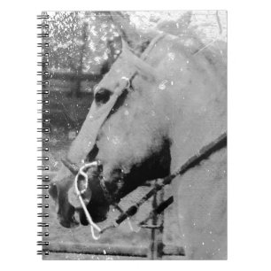 Carnet Cheval en noir et blanc