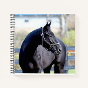 Carnet Cheval et lever du soleil au lac