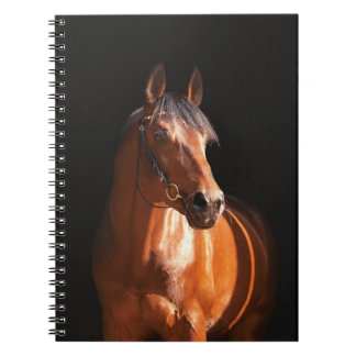 Carnet cheval folâtre au noir