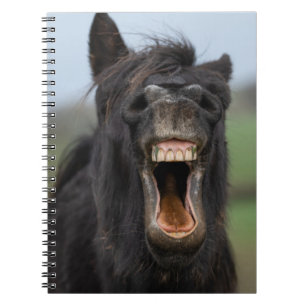 Carnet Cheval Montrant Ses Dents