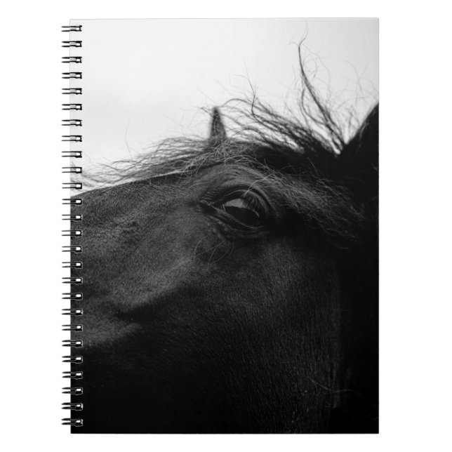 CARNET CHEVAL NOIR (Devant)