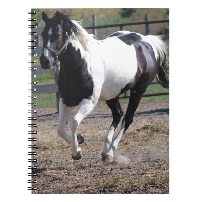 Carnet Cheval Pinto Paint (Devant)