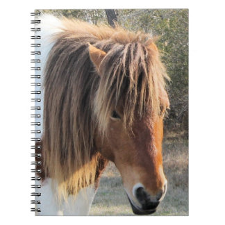 Carnet cheval sauvage