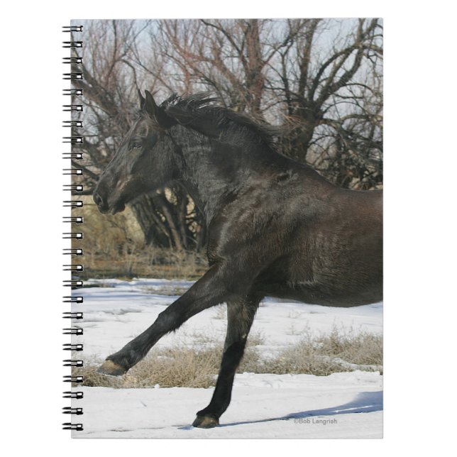 Carnet Cheval sauvage de mustang dans la neige 2 (Devant)