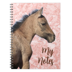 Carnet Cheval sauvage Mes notes
