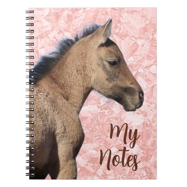Carnet Cheval sauvage Mes notes (Devant)