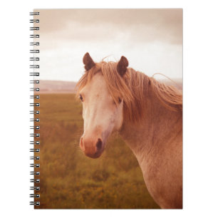 Carnet cheval sauvage vintage