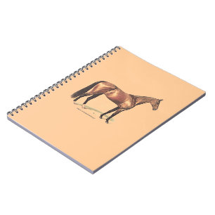Carnet Cheval Thoroughbred