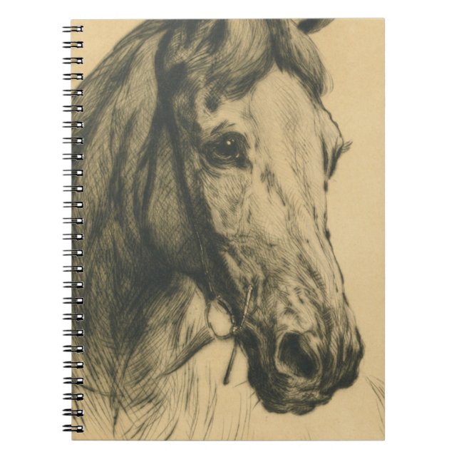 Carnet Cheval's Head By Heywood Hardy (Devant)