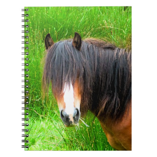 CARNET CHEVAUX (Devant)